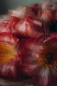 Lire la suite à propos de l’article Injections Jawline Genève