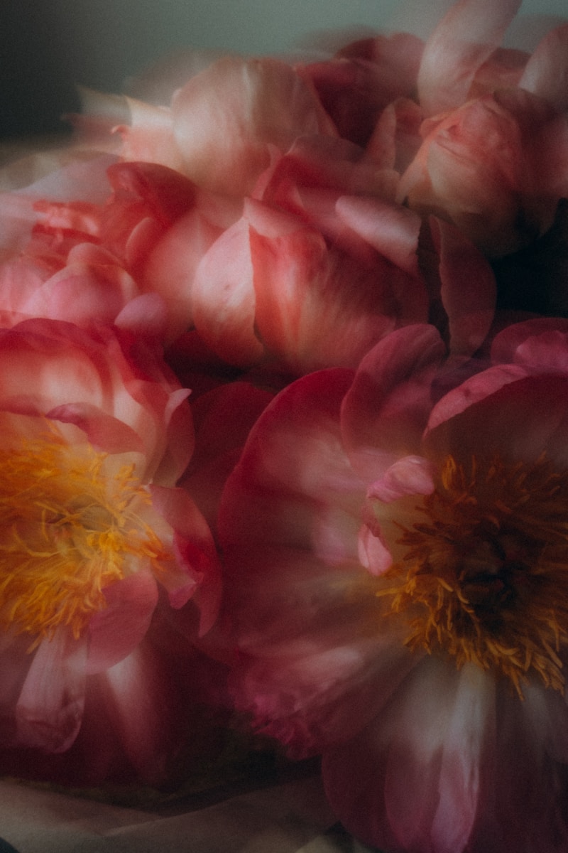 Lire la suite à propos de l’article Injections Jawline Genève